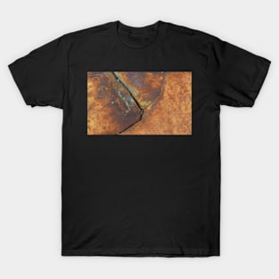 Stone Abstract T-Shirt